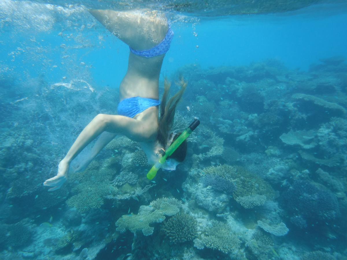 Surf Trip Maldives 호텔 툴루스드후 외부 사진